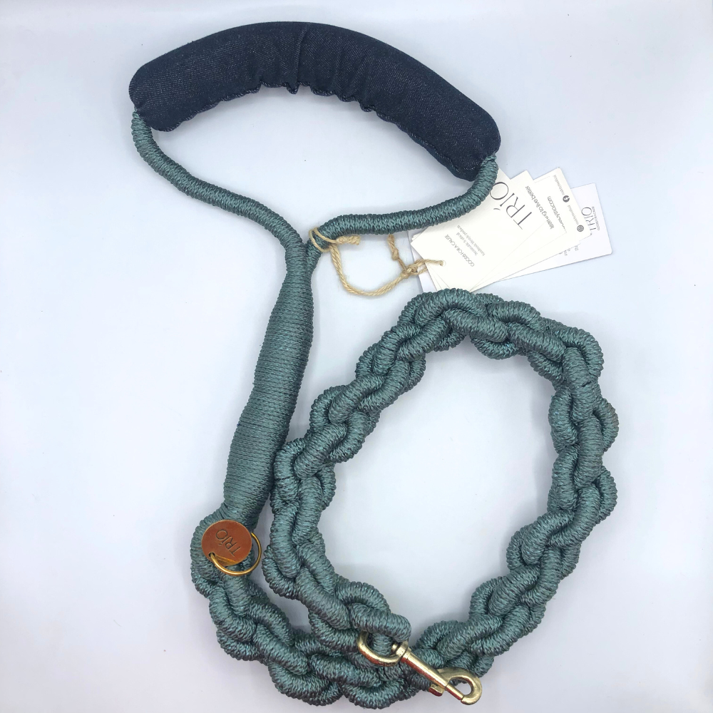 Arete Leash