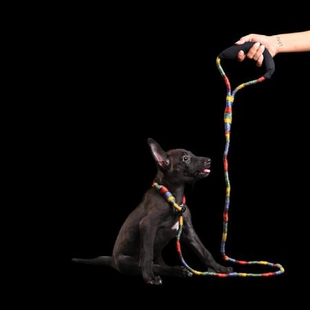 Ahimsa Leash