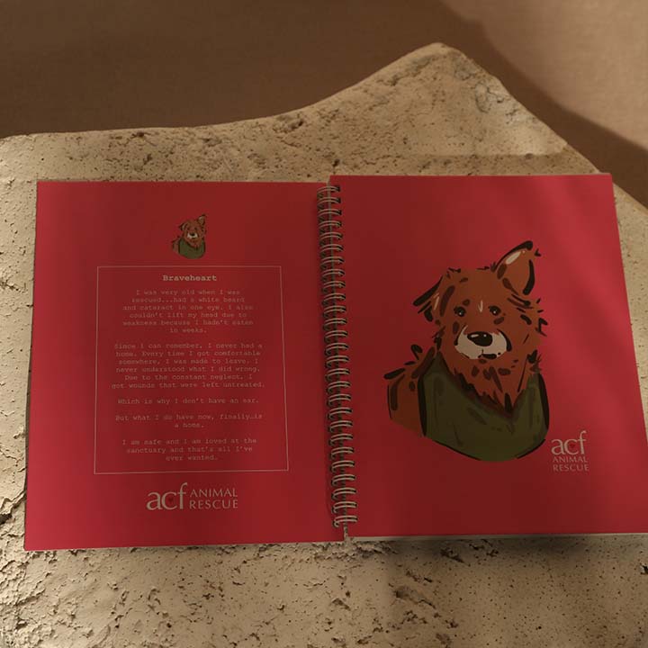 ACF Notebooks