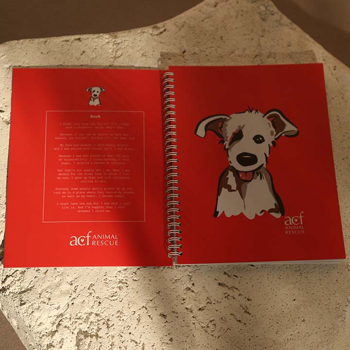 ACF Notebooks